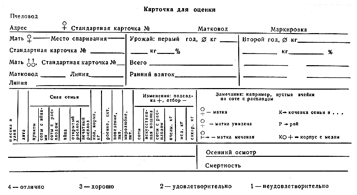   11.   
